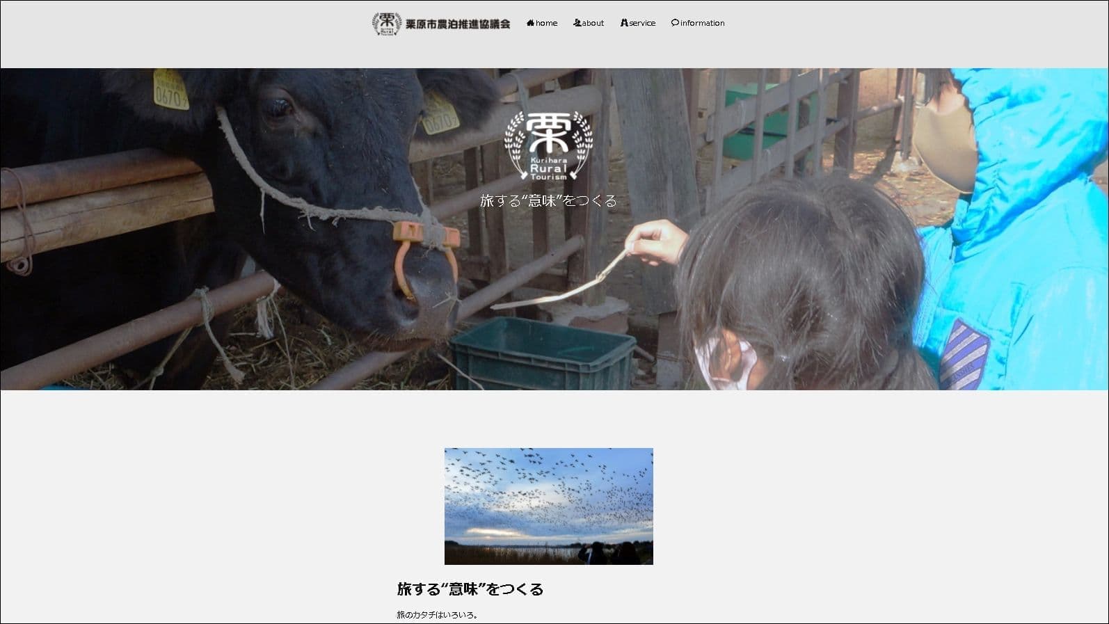 ウェブサイト開設