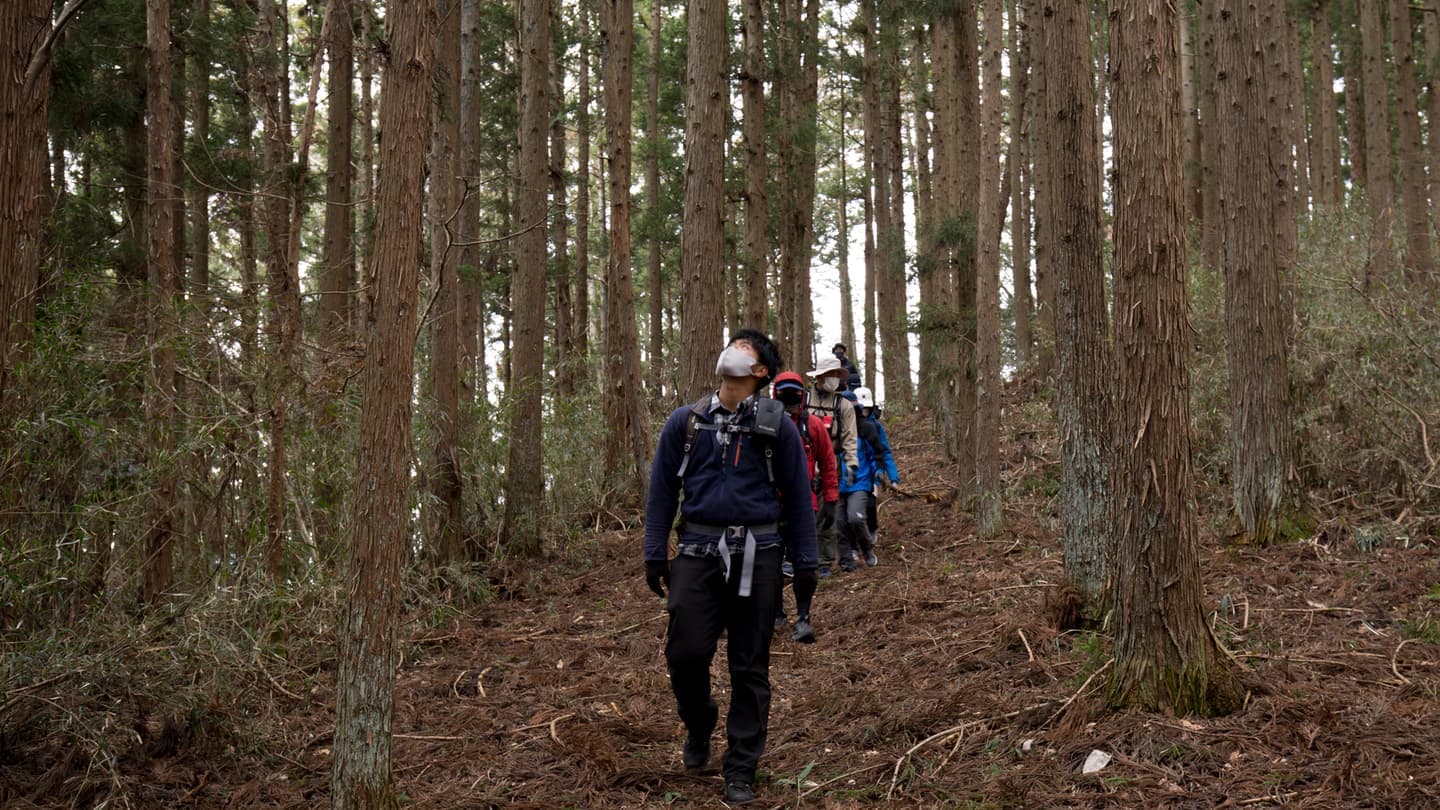 ロングトレイル